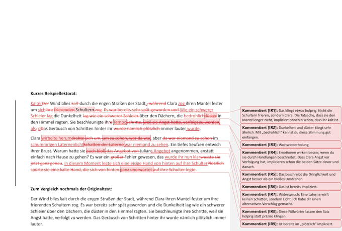 provide german book editing services